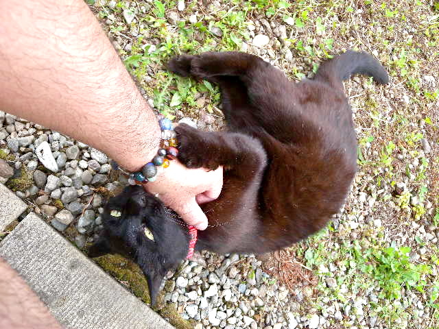 a0199297_16281027.jpg