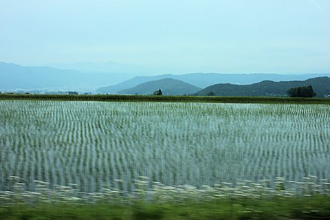 c0090198_18341382.jpg