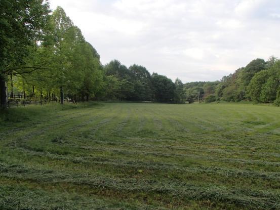 f0064906_17263129.jpg