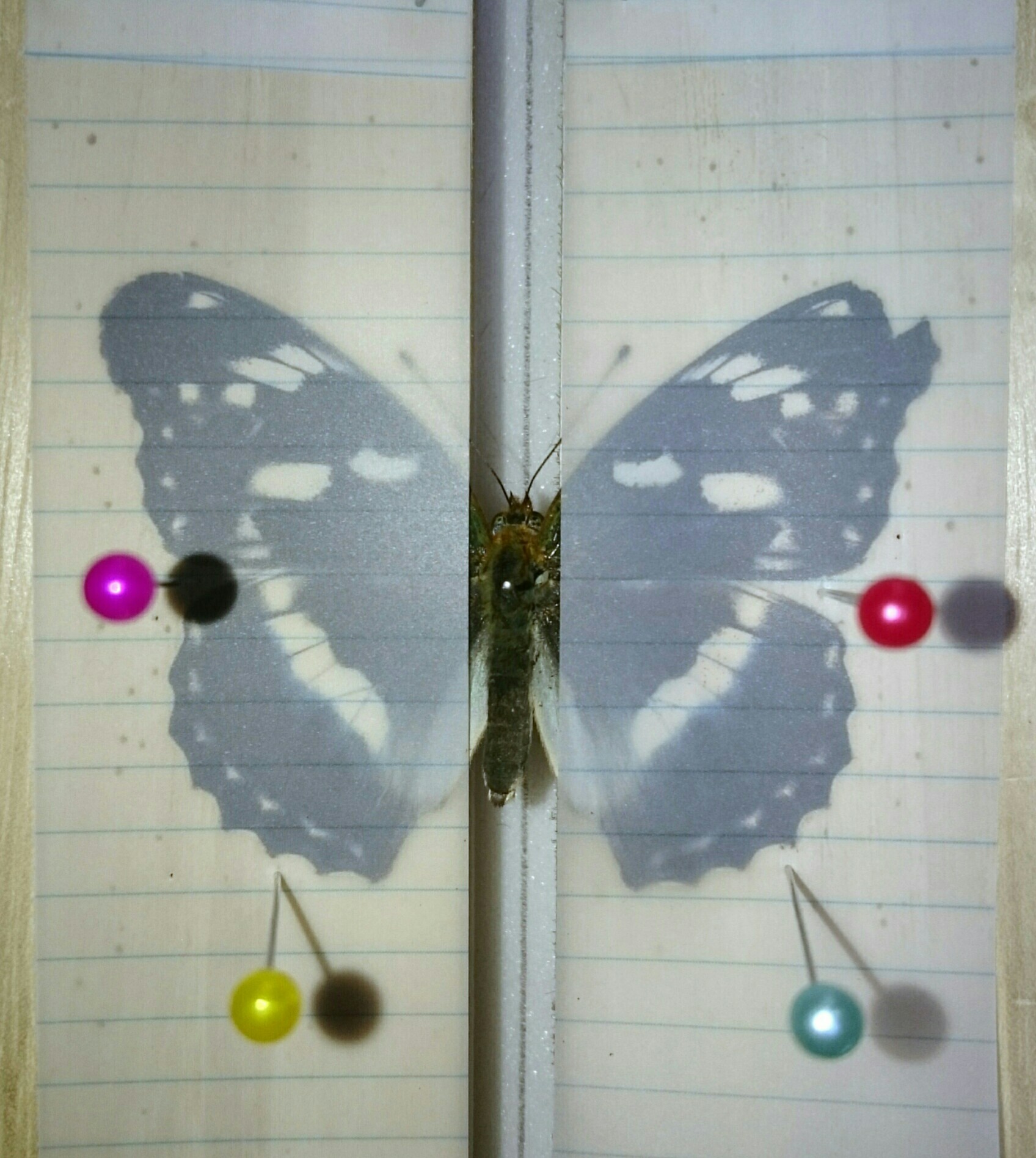 a0361610_19094359.jpg