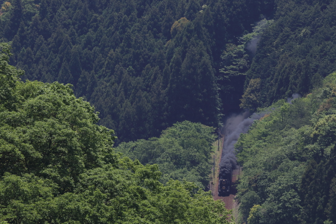 大引越トンネルから田代トンネルへ - 2019年初夏・山口線 -_b0190710_21293712.jpg