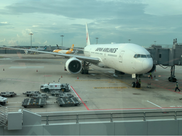 シンガポールJGC修行  SIN-NRT_b0396913_21083182.jpg