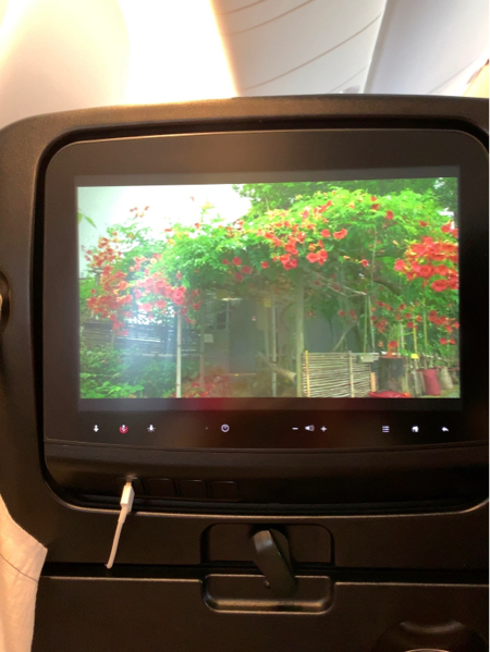 シンガポールJGC修行  SIN-NRT_b0396913_21210647.jpg