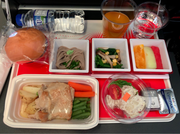 シンガポールJGC修行  SIN-NRT_b0396913_21415751.jpg