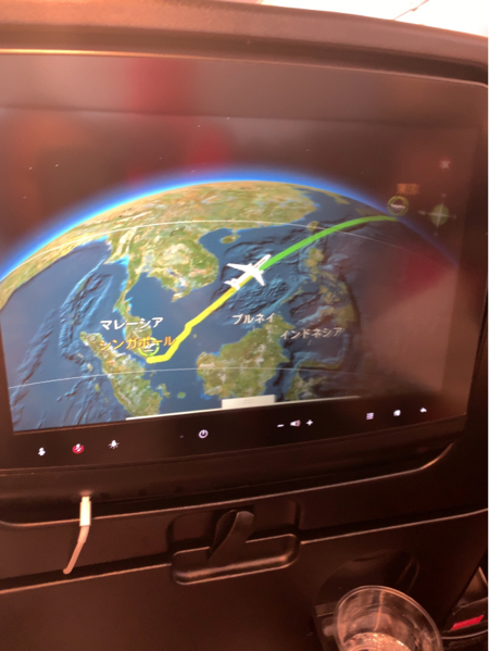 シンガポールJGC修行  SIN-NRT_b0396913_21420003.jpg