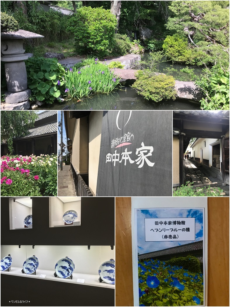 * 小布施ガーデン巡り ツアー*_d0317115_22425591.jpg