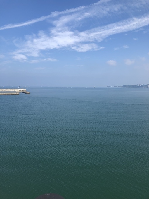 朝散歩始めました、和歌山の海_c0337724_14411100.jpeg