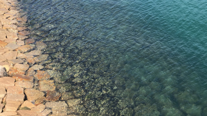 朝散歩始めました、和歌山の海_c0337724_15504698.jpg