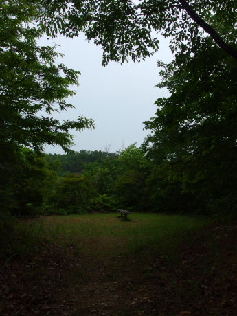 か_d0184326_17581755.jpg