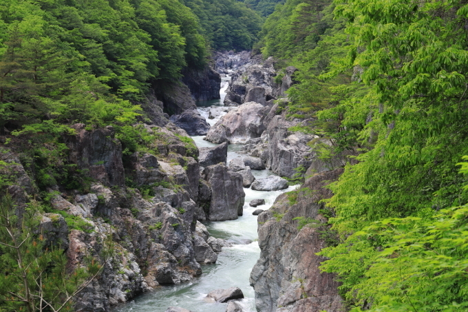 f0348831_22505221.jpg