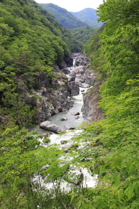f0348831_22505244.jpg