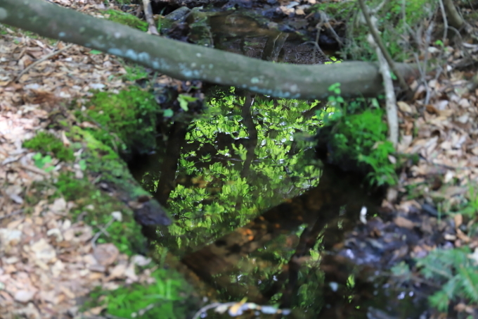 f0348831_22513439.jpg