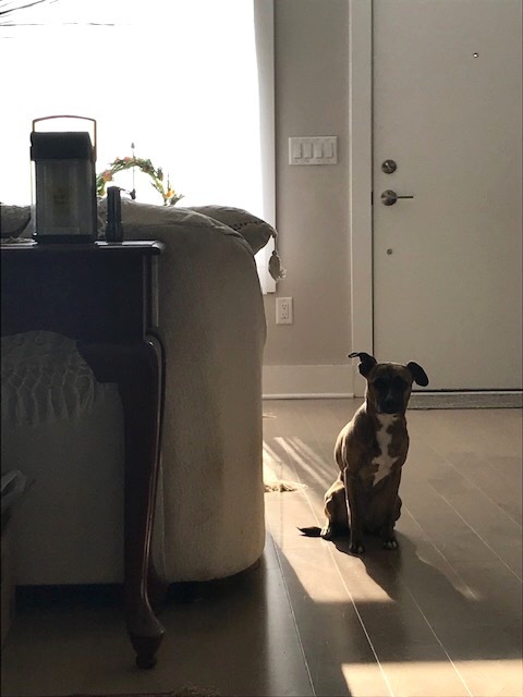 d0269832_22183353.jpeg