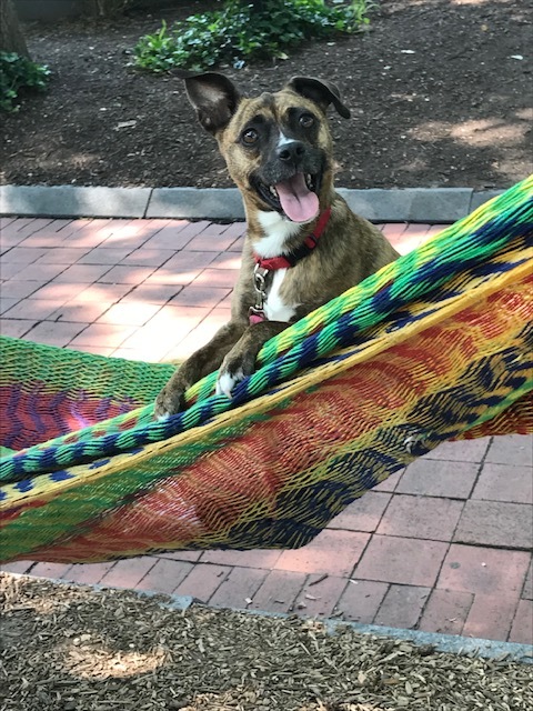 d0269832_22200400.jpeg