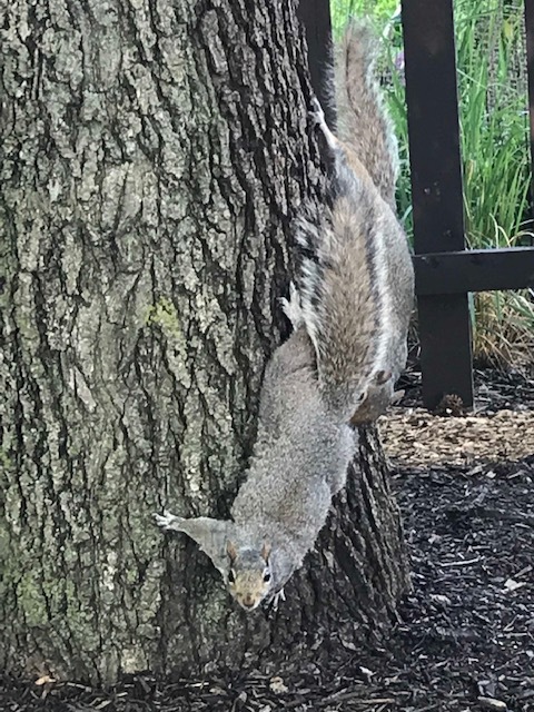 d0269832_22210458.jpeg