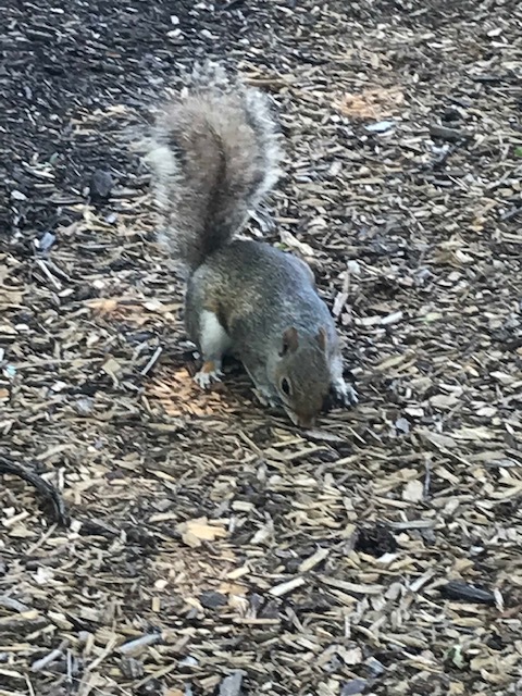 d0269832_22212799.jpeg