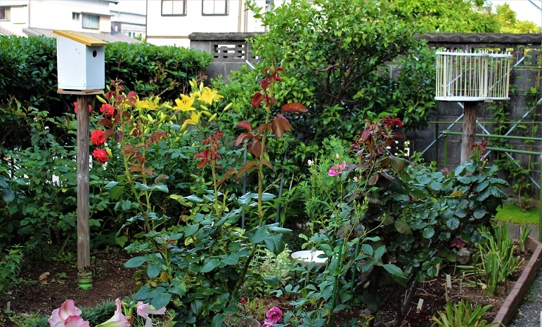 b0197433_16133098.jpg