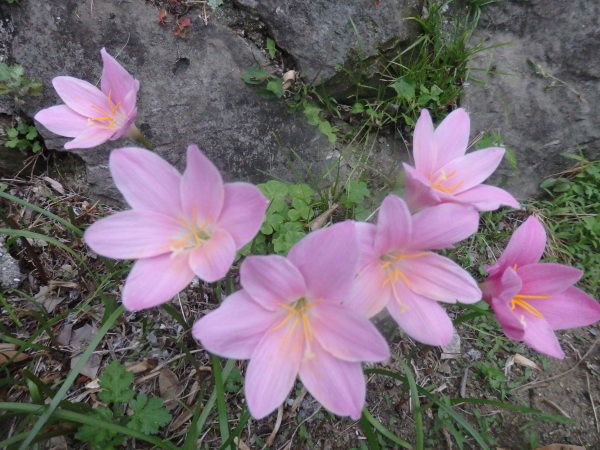 a0054240_21282958.jpg