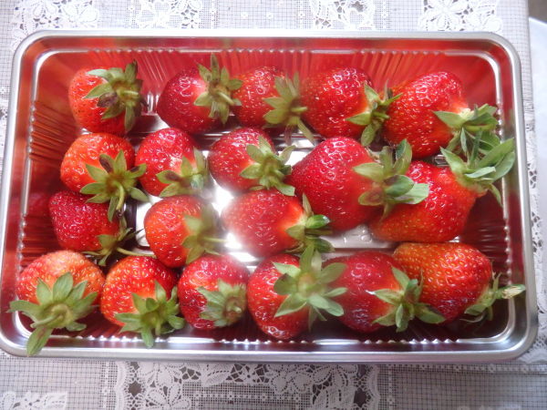 a0054240_21452295.jpg