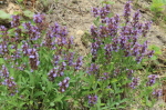 b0260241_09271026.jpg