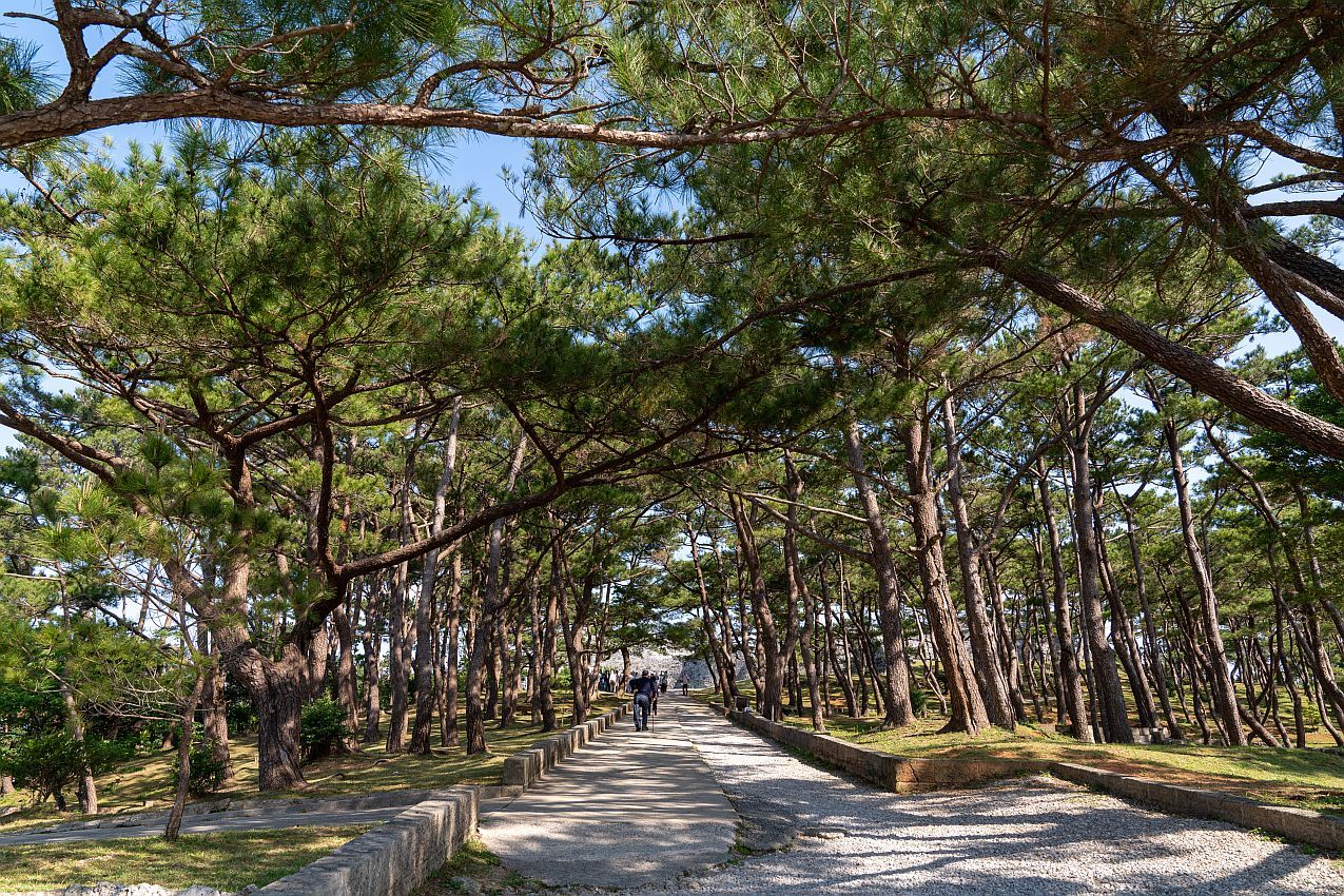 【史跡・世界遺産】 座喜味城跡 (沖縄県 読谷村) 行き方_b0212342_14521444.jpg