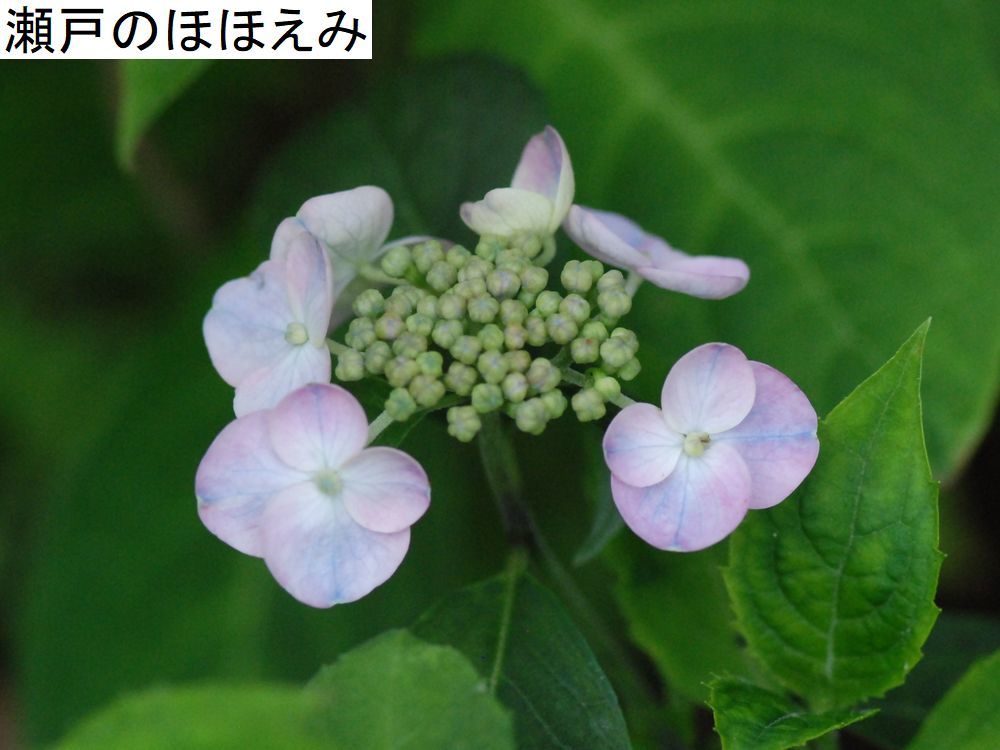 e0340143_07442335.jpg