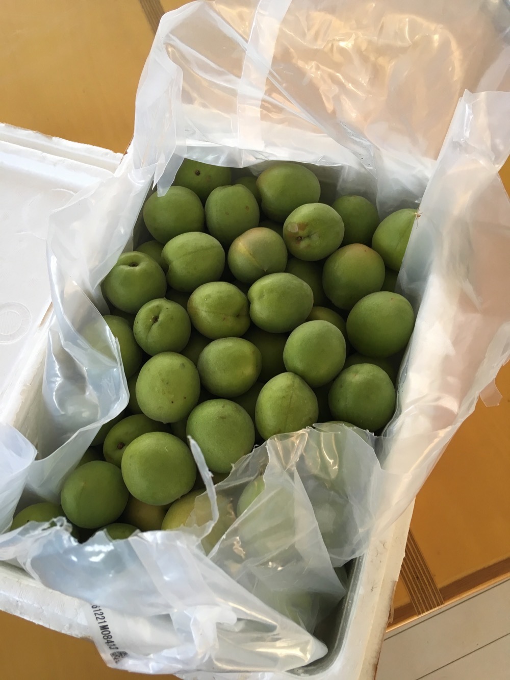 毎年恒例になった梅酒仕込みと山椒仕込みとバジルペースト仕込み_e0069646_08443980.jpg