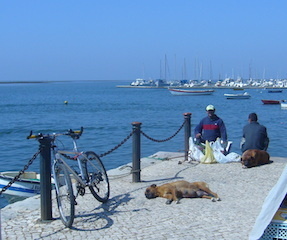 b0396150_00445355.jpg