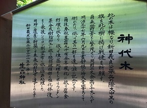e0126350_16174678.jpg