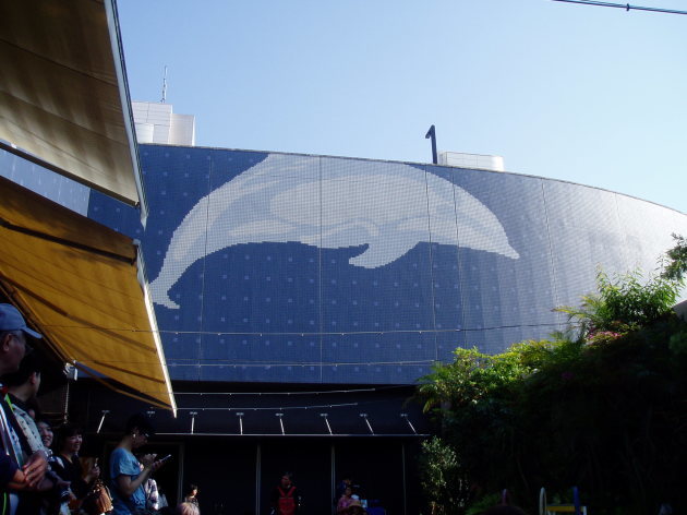 c0017651_11111004.jpg