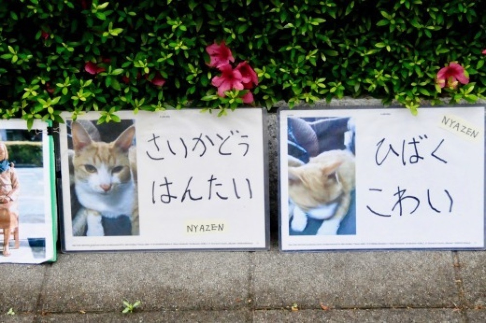 b0242956_07132543.jpeg