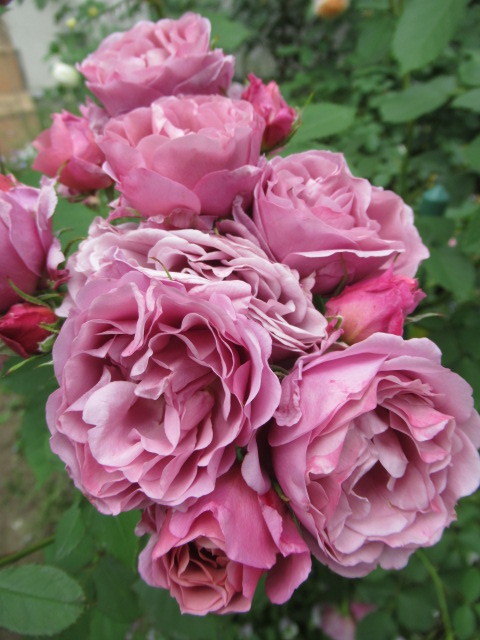 f0236260_19221040.jpg