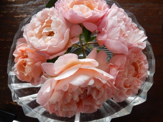 ’19,6,3(月)ご近所の紫陽花巡り散歩!_f0060461_11173911.jpg