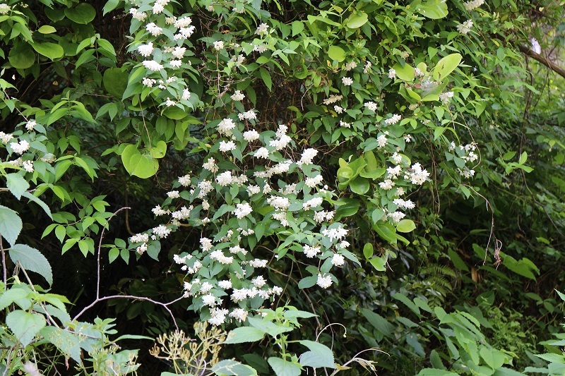 b0044663_06531354.jpg