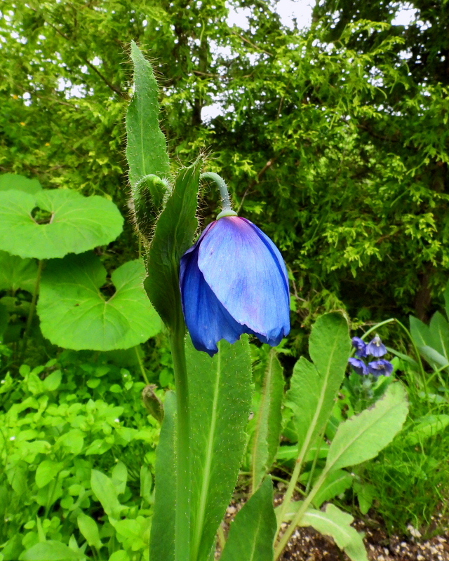 c0305565_17412458.jpg
