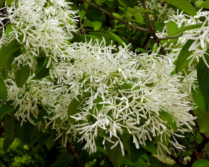 c0305565_17431840.jpg