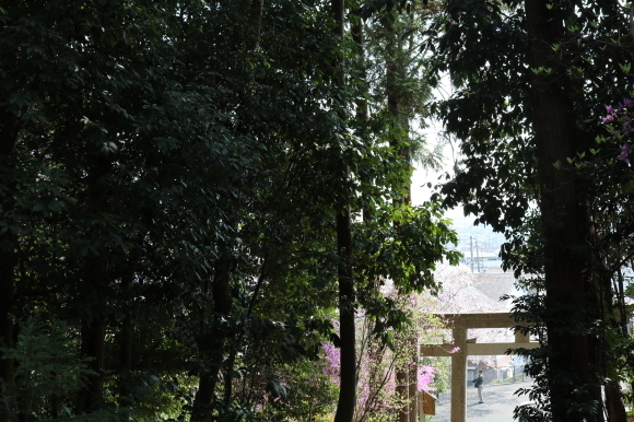 c0001670_23015810.jpg