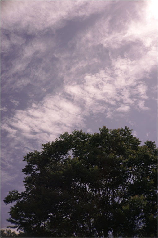 c0168172_21522907.jpg