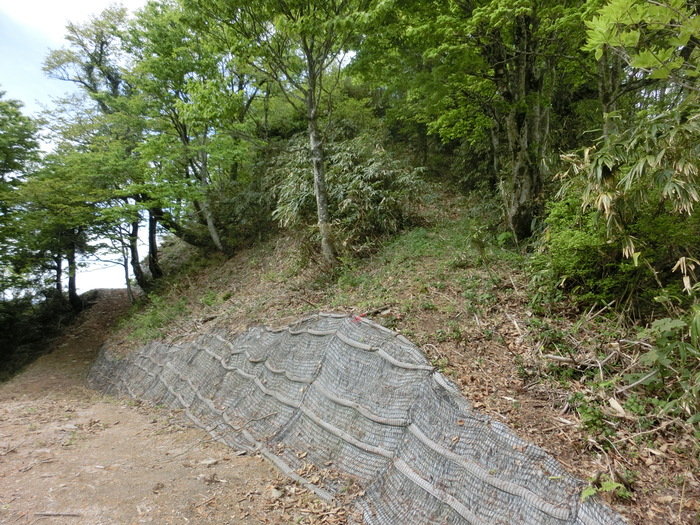 b0185573_1511437.jpg