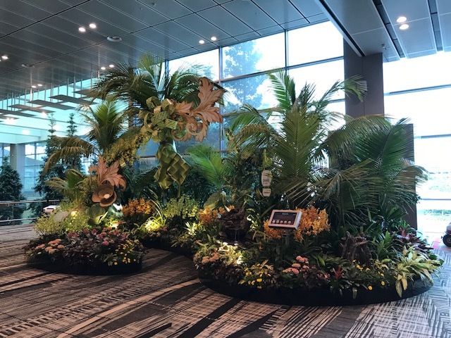 f0117977_17451344.jpg