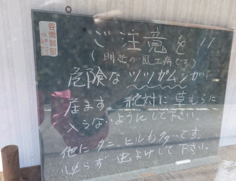 明延の風土病 ツツガムシ病 明延 鉱山クラブ