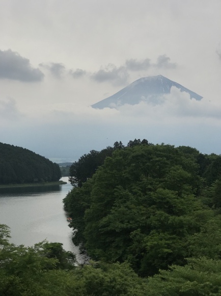 横浜〜ラスト泊りは田貫湖 〜6/3帰宅_e0024081_05542494.jpeg