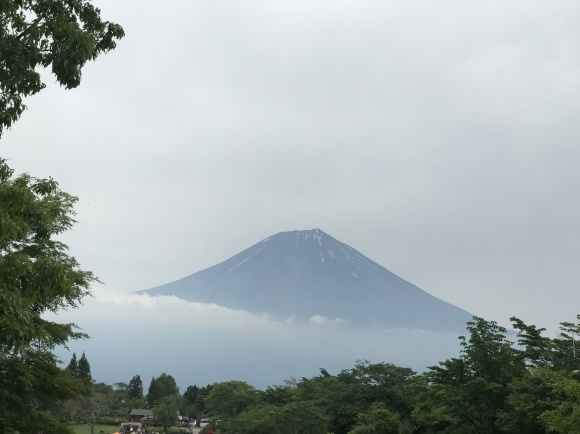 横浜〜ラスト泊りは田貫湖 〜6/3帰宅_e0024081_06043203.jpeg