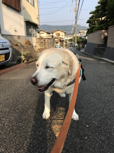 f0315081_22325002.jpeg