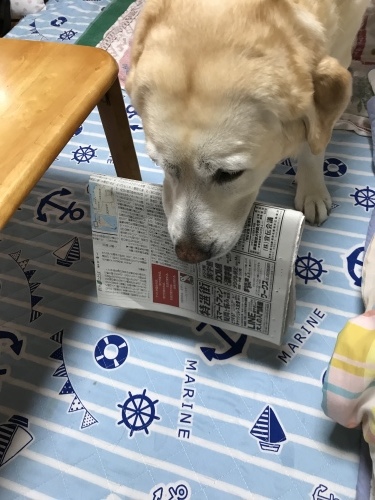 f0315081_22351736.jpeg