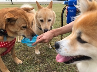 心深ちゃんと公園にて&#127925;_b0377882_10475629.jpg