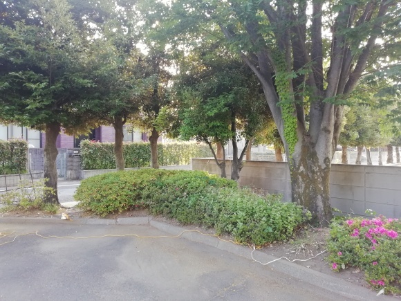 c0212083_15131729.jpg