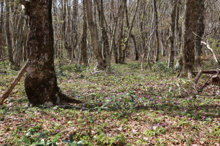e0165983_11030636.jpg