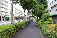 d0183387_15525369.jpg