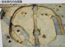 d0183387_18372970.png